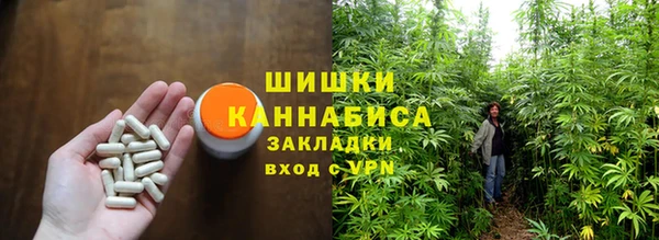 ПСИЛОЦИБИНОВЫЕ ГРИБЫ Алексеевка