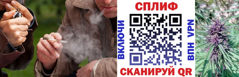 Конопля марихуана Фрязино